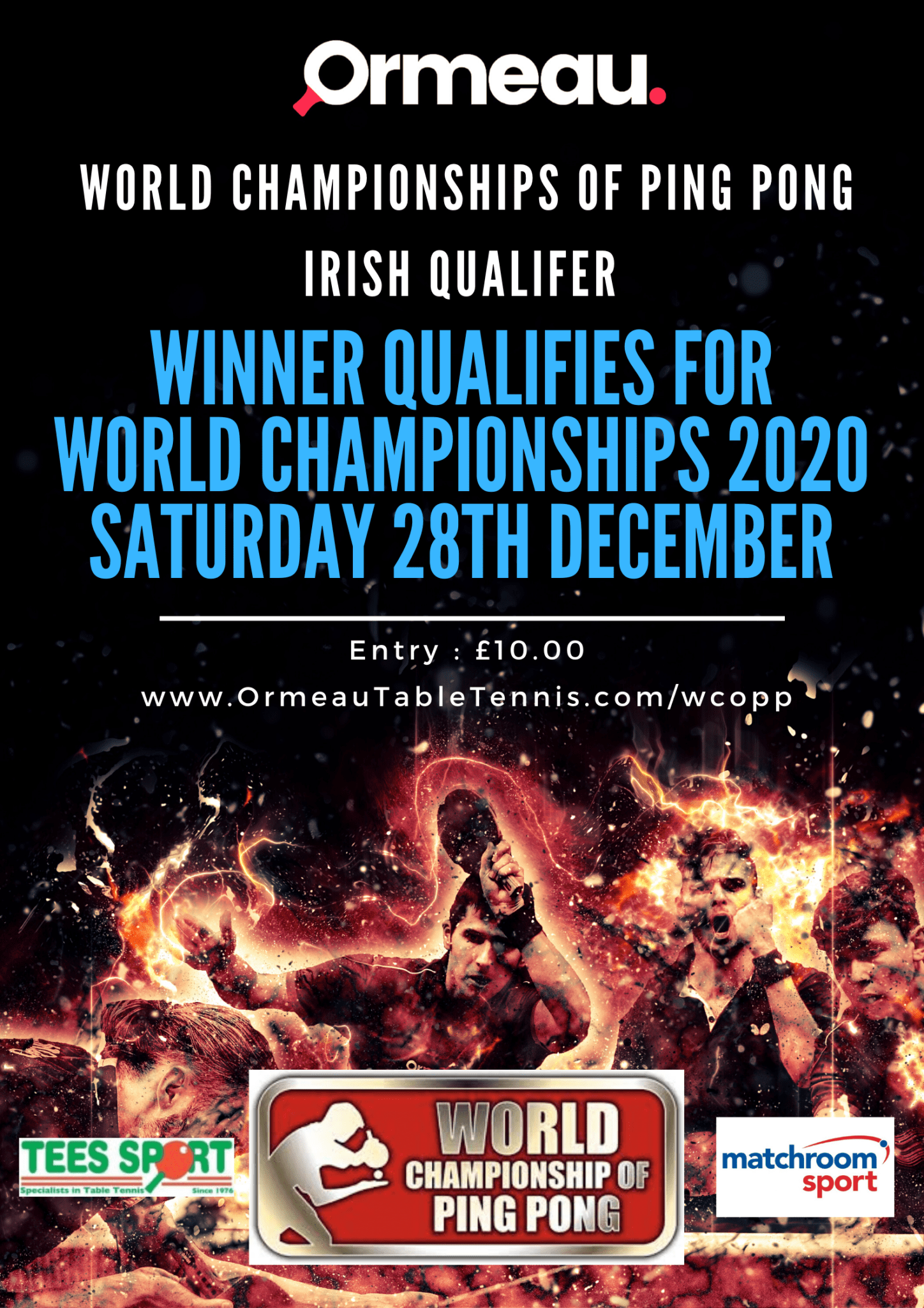 World Championships Of Ping Pong Ireland Qualifier Poster